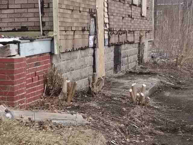 Testing again(86).jpg